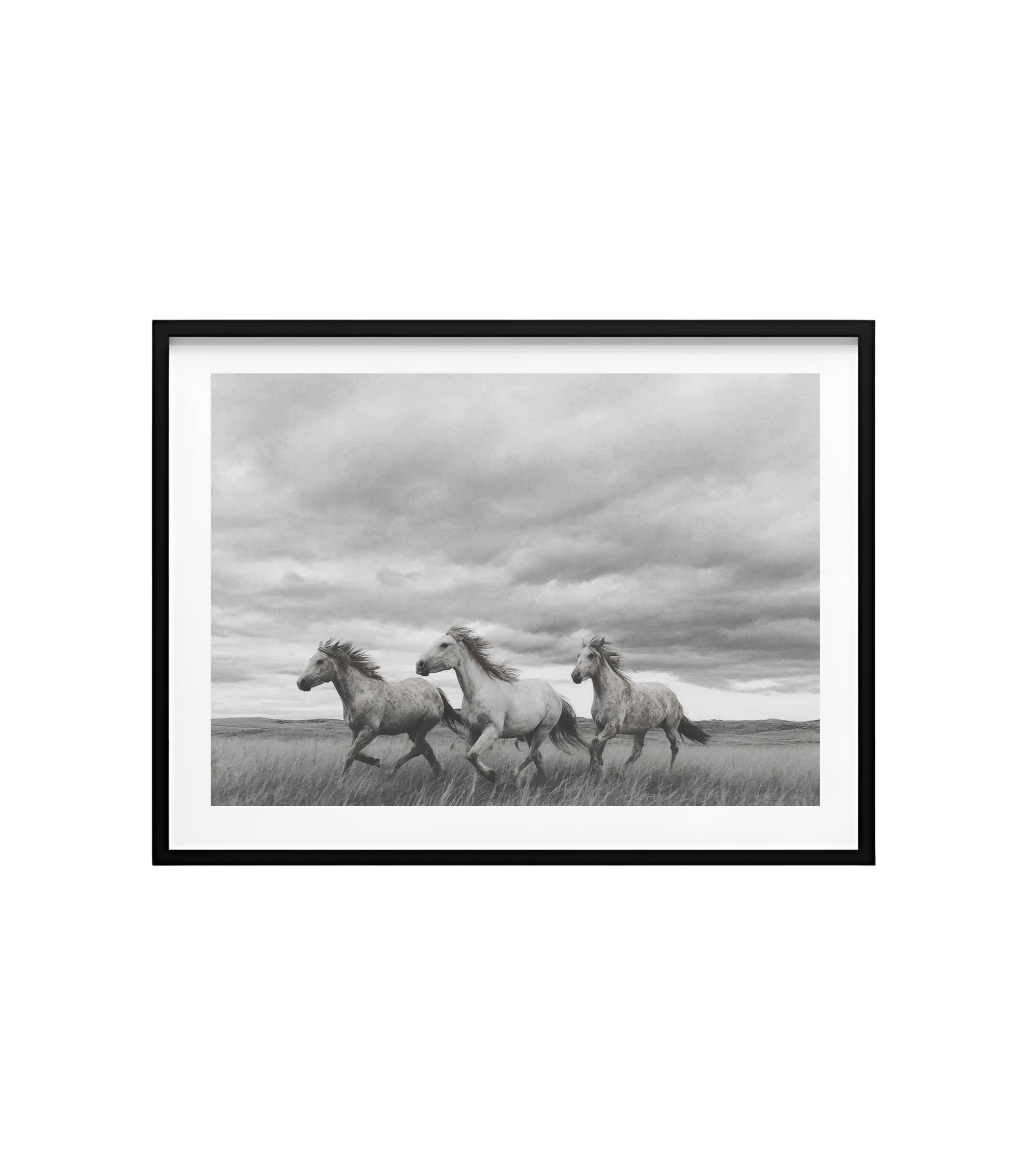 Thunder Across the Dunes – Wild Horses Print | Black & White Photography