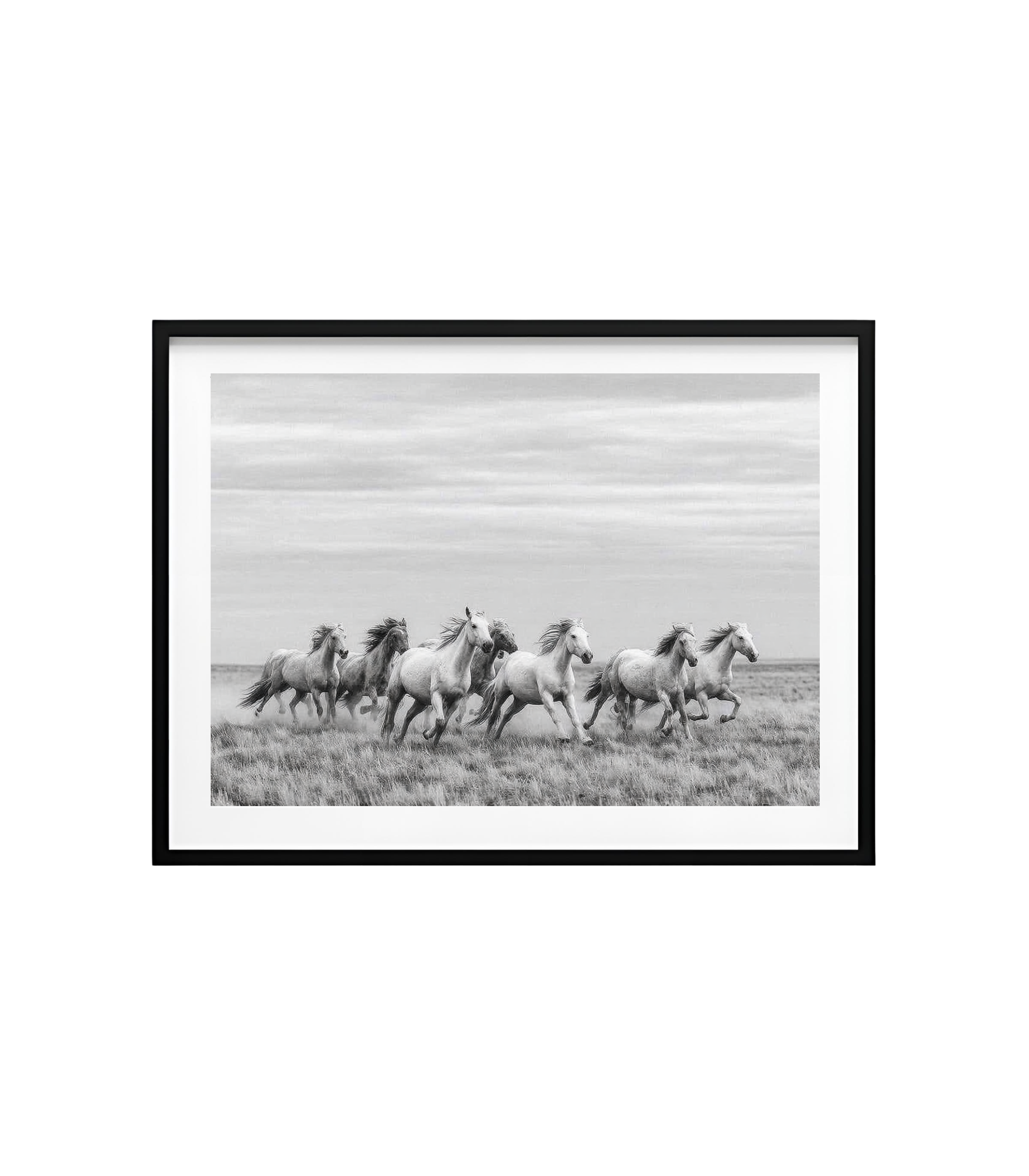 Run with the Wind – Wild Horses Photography Print