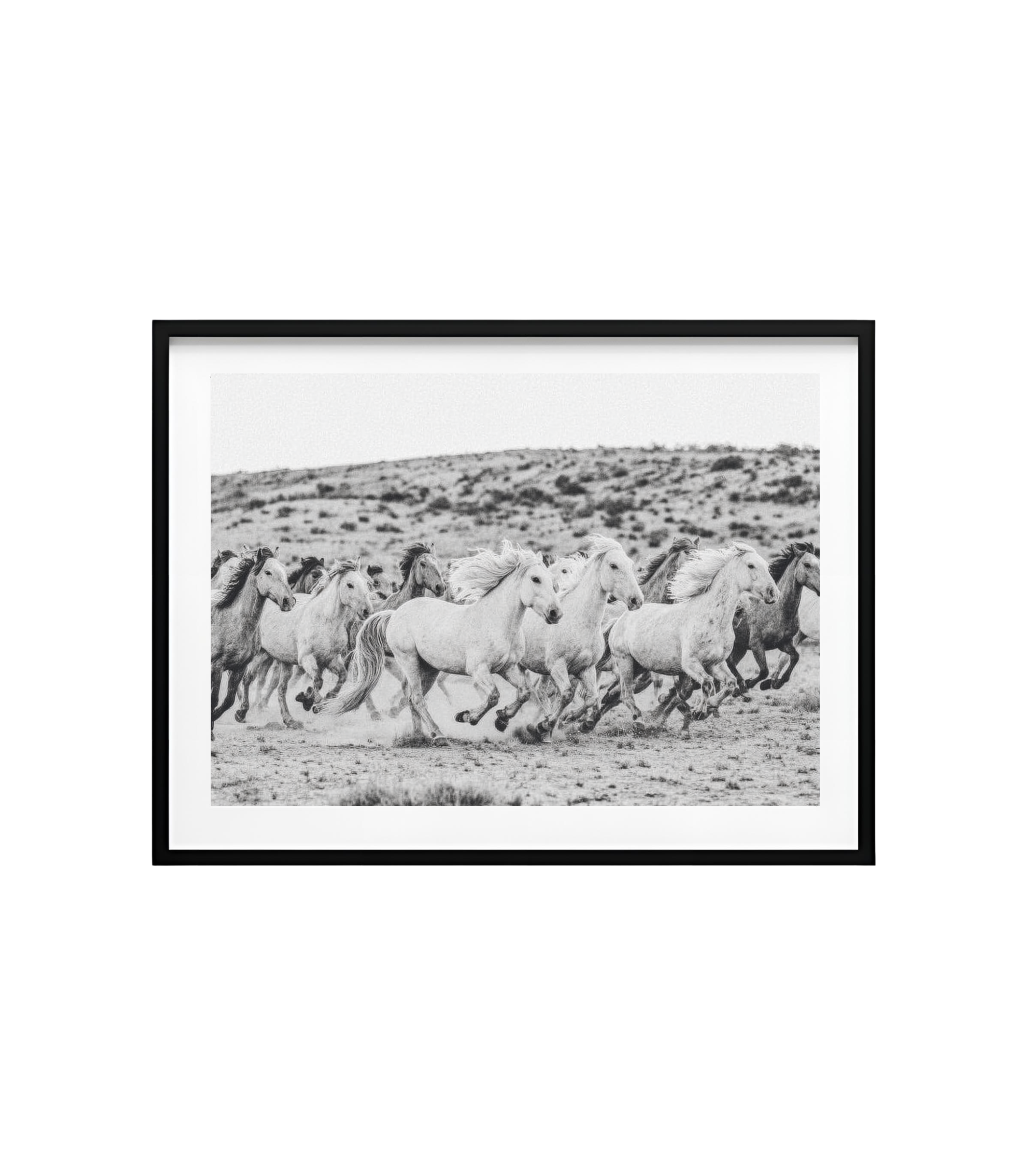 Endless Freedom – Wild Horses Wall Print | Large Statement Art