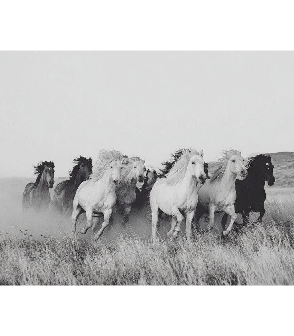 Echo of the Wild – Wild Horses Wall Art | Minimalist Nature Print