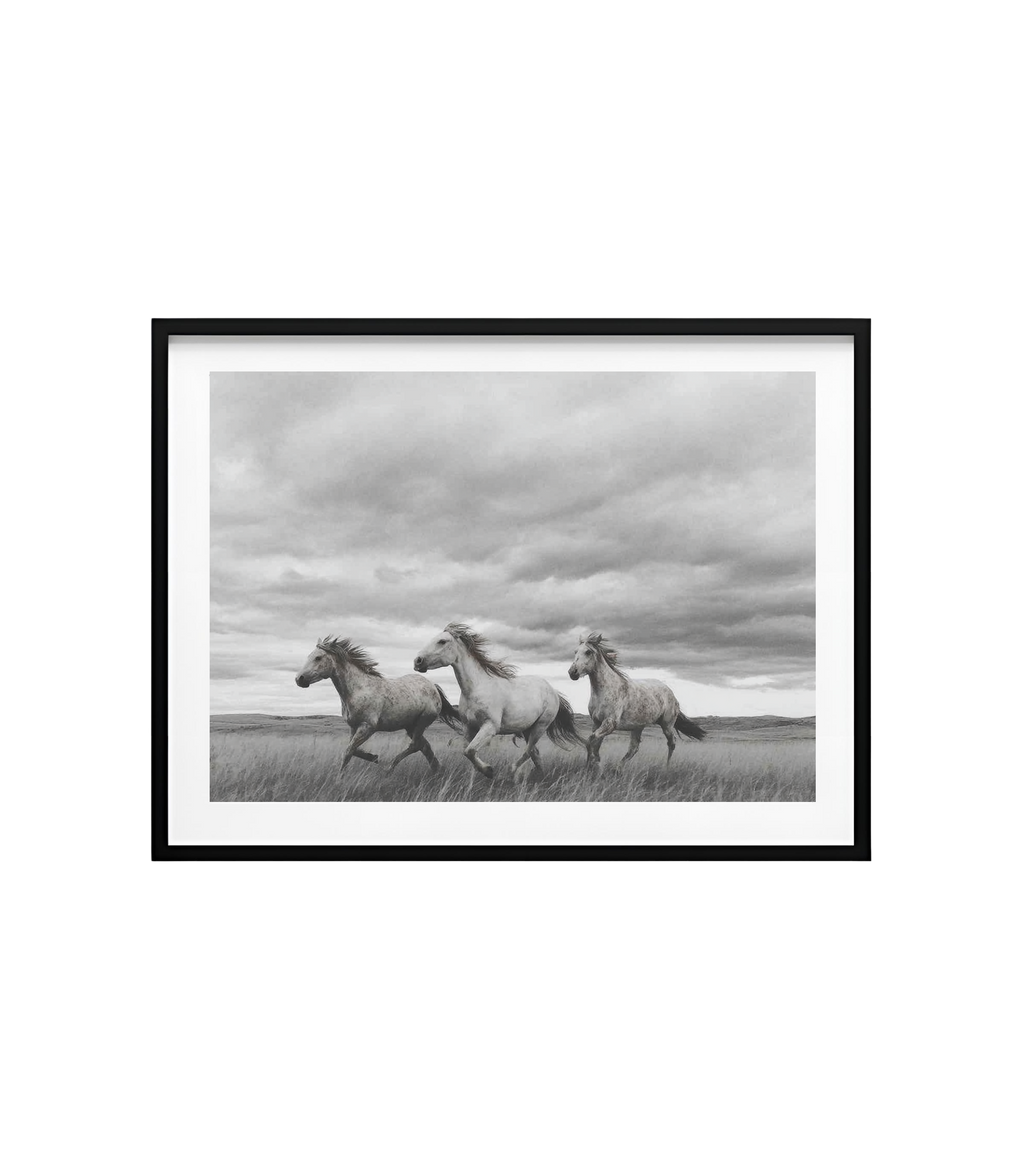 Thunder Across the Dunes – Wild Horses Print | Black & White Photography