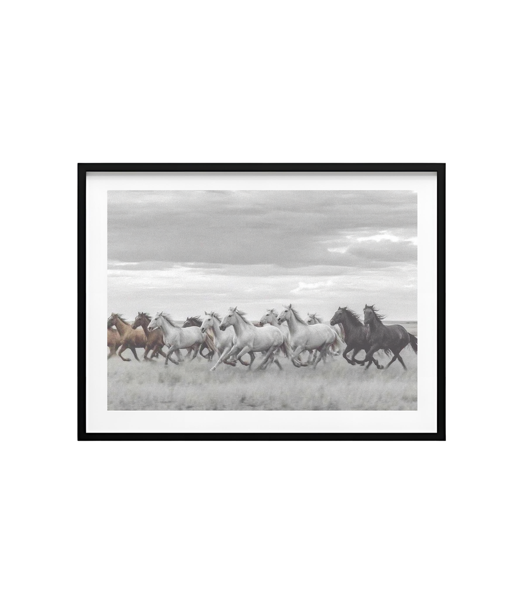 Dust and Silence – Wild Horses Wall Art | Monochrome Print