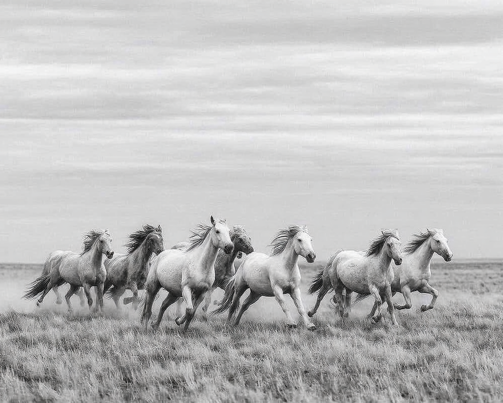 Run with the Wind – Wild Horses Photography Print