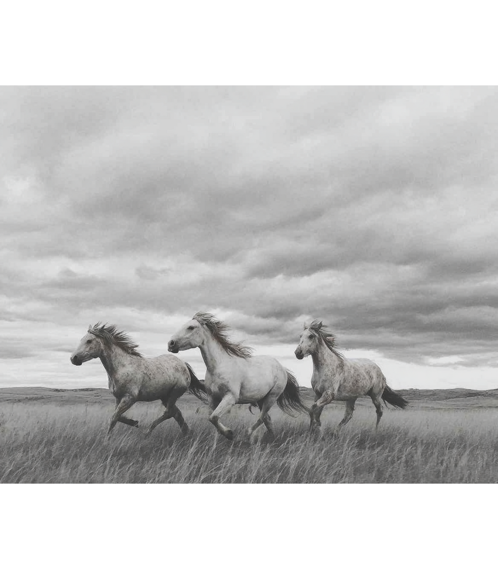 Thunder Across the Dunes – Wild Horses Print | Black & White Photography